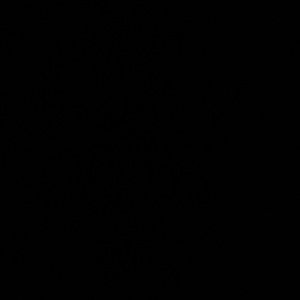 Meet your Posher, Evan